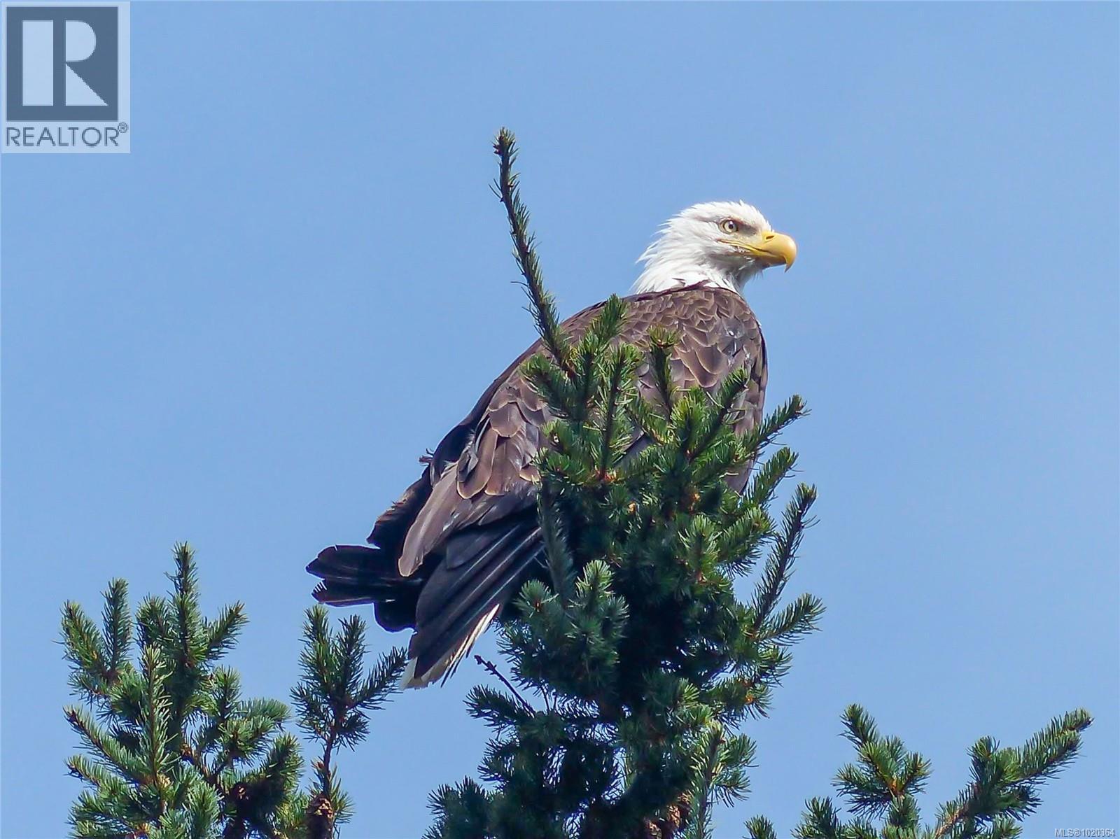148 Pilkey Point Rd, Thetis Island, British Columbia  V0R 2Y0 - Photo 71 - 1020364