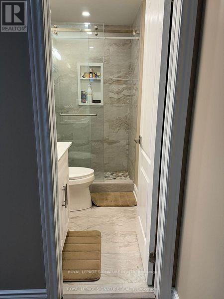 Basement - 22 Temple Manor Road, Brampton, Ontario  L6Y 6C5 - Photo 6 - W12548636