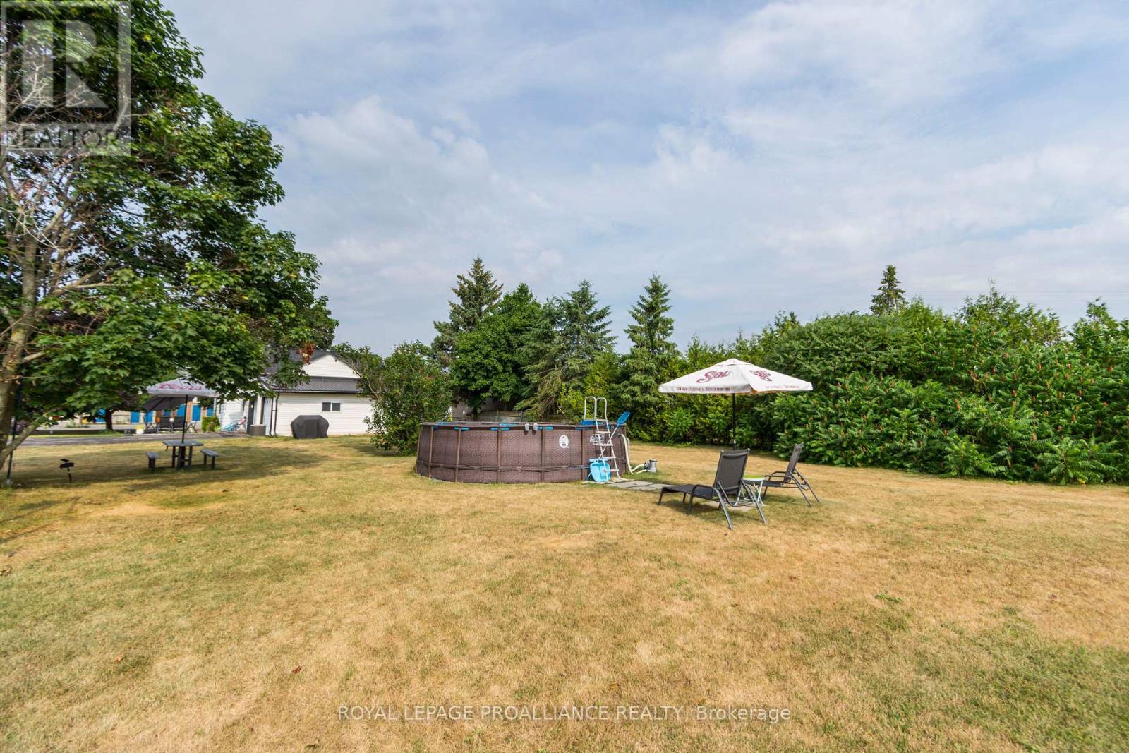 113 South Trent Street, Quinte West, Ontario  K0K 2C0 - Photo 38 - X12470314