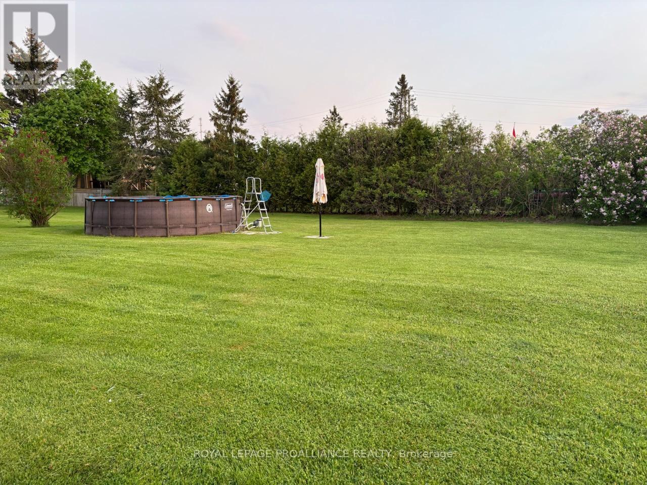 113 South Trent Street, Quinte West, Ontario  K0K 2C0 - Photo 44 - X12470314