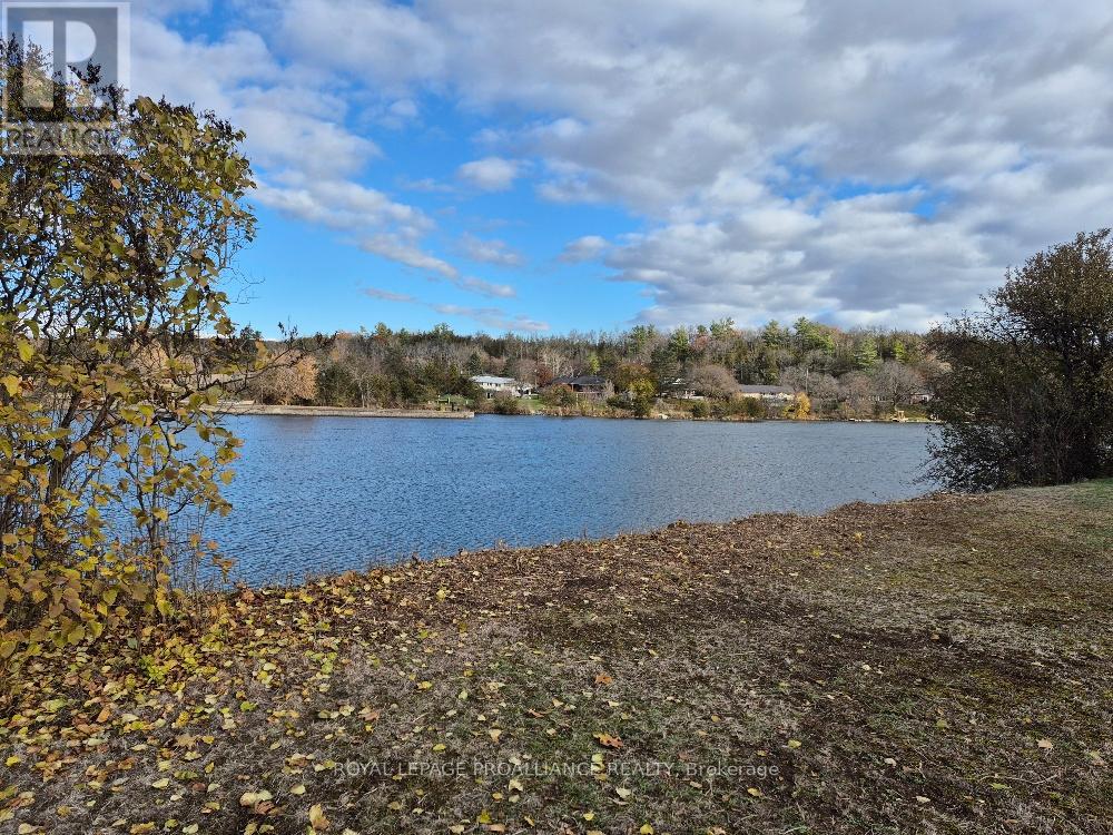 113 South Trent Street, Quinte West, Ontario  K0K 2C0 - Photo 36 - X12470314