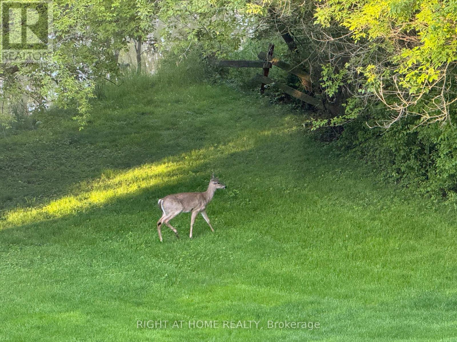 42 Valleyview Road, Brampton, Ontario  L6Z 4P9 - Photo 49 - W12475700