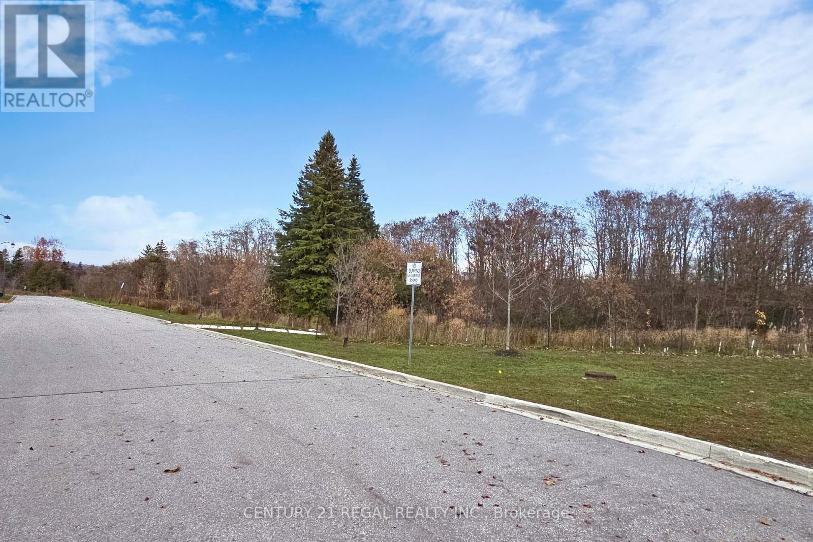 29 Rougeview Park Crescent, Markham, Ontario L6E 0S7 - Photo 41 - N12548798