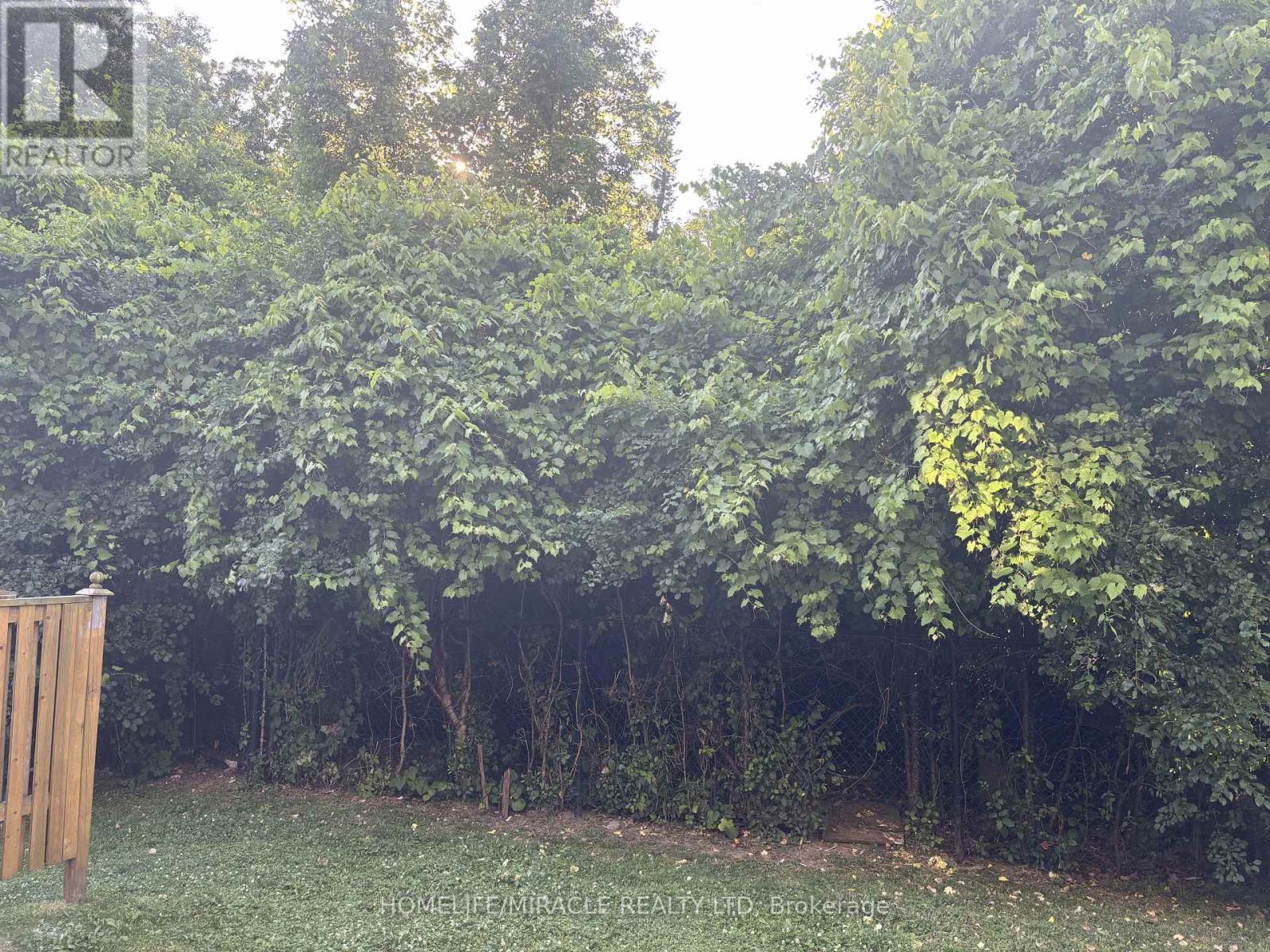 17 - 7385 Magistrate Terrace, Mississauga, Ontario  L5W 1W8 - Photo 49 - W12548920