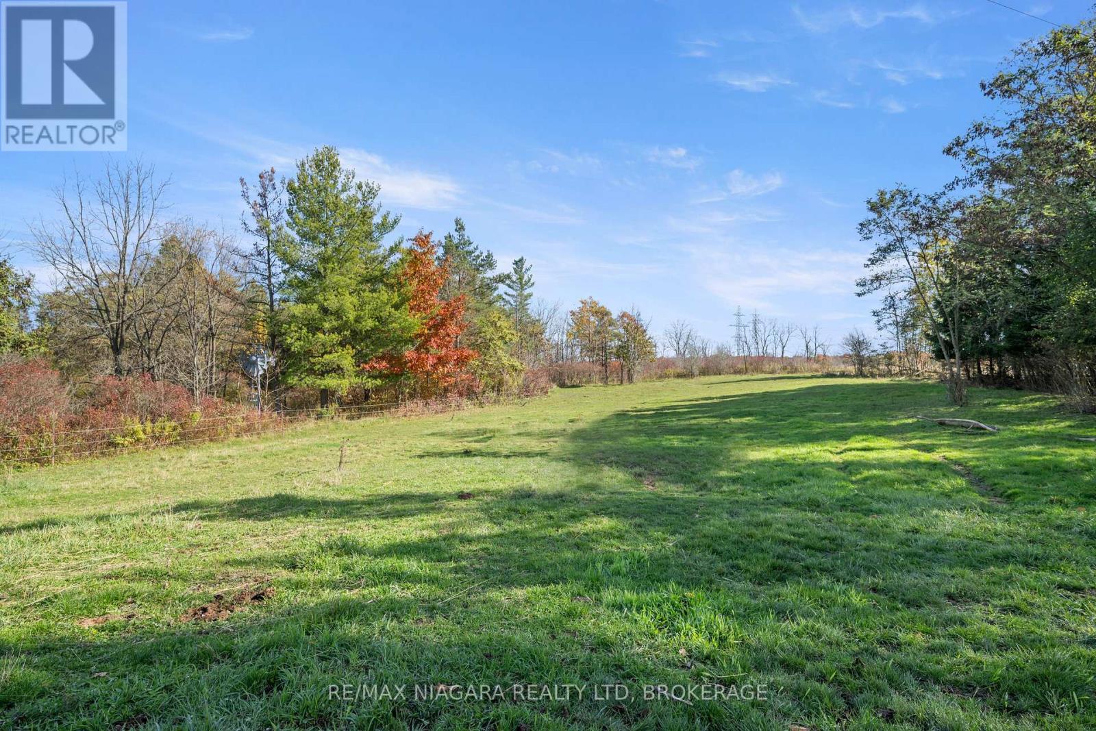 340 Roland Road, Pelham, Ontario L0S 1M0 - Photo 50 - X12548938