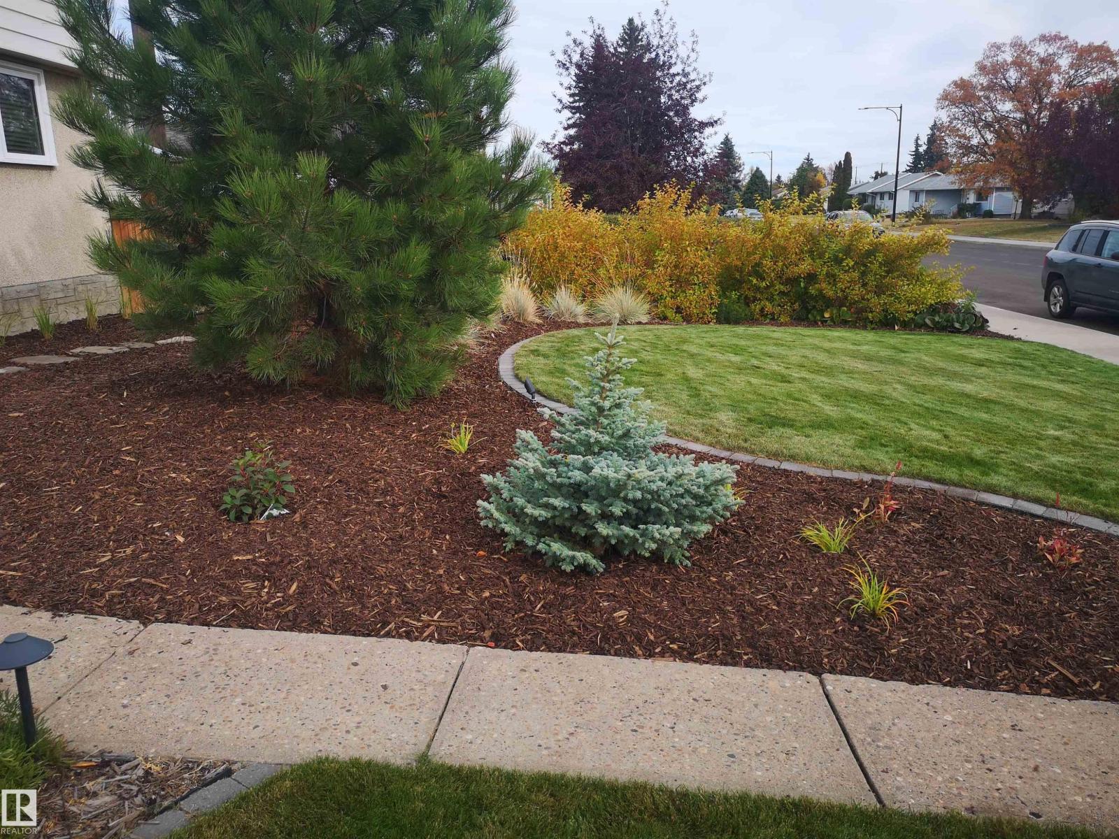 8032 70 Av Nw Nw, Edmonton, Alberta  T6C 0A5 - Photo 5 - E4461068