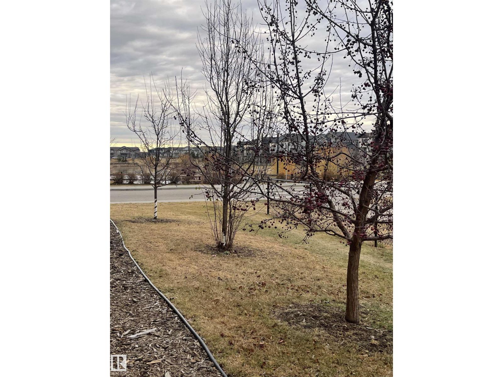 #64 17832 78 St Nw, Edmonton, Alberta  T5Z 0P7 - Photo 24 - E4465908