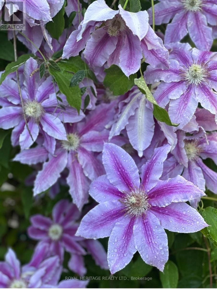 245 Elizabeth Street, Oshawa, Ontario  L1J 5S5 - Photo 38 - E12543960