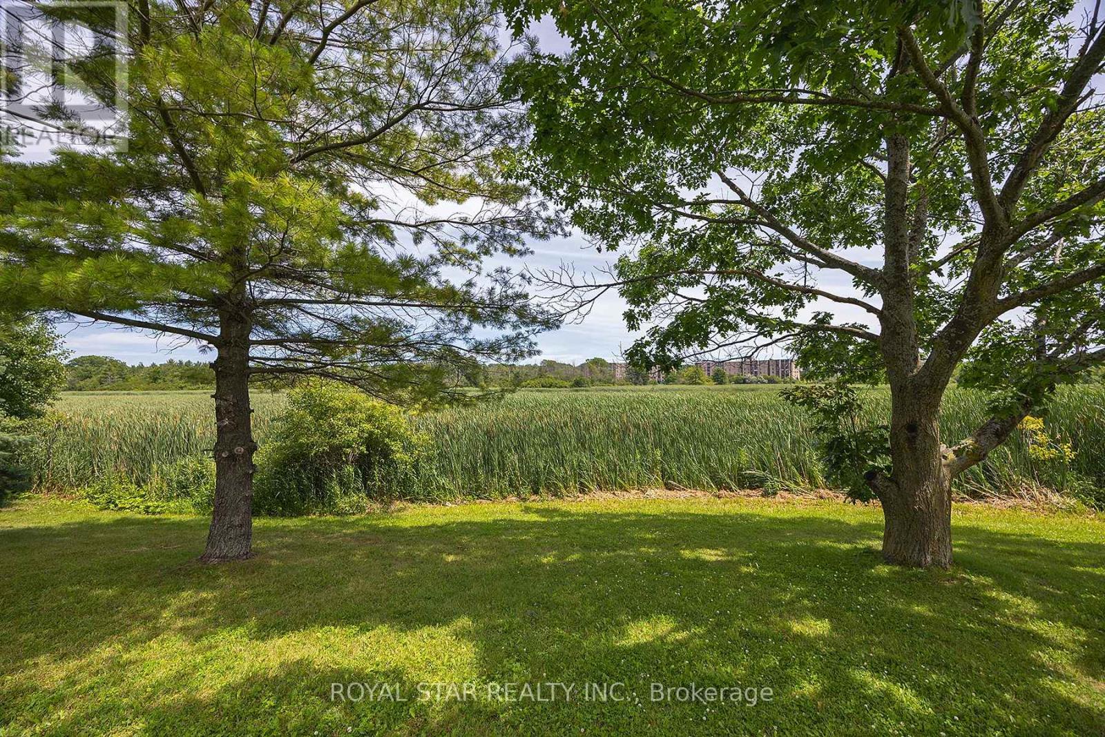 114 - 580 Armstrong Road, Kingston, Ontario  K7M 8M3 - Photo 8 - X12549286