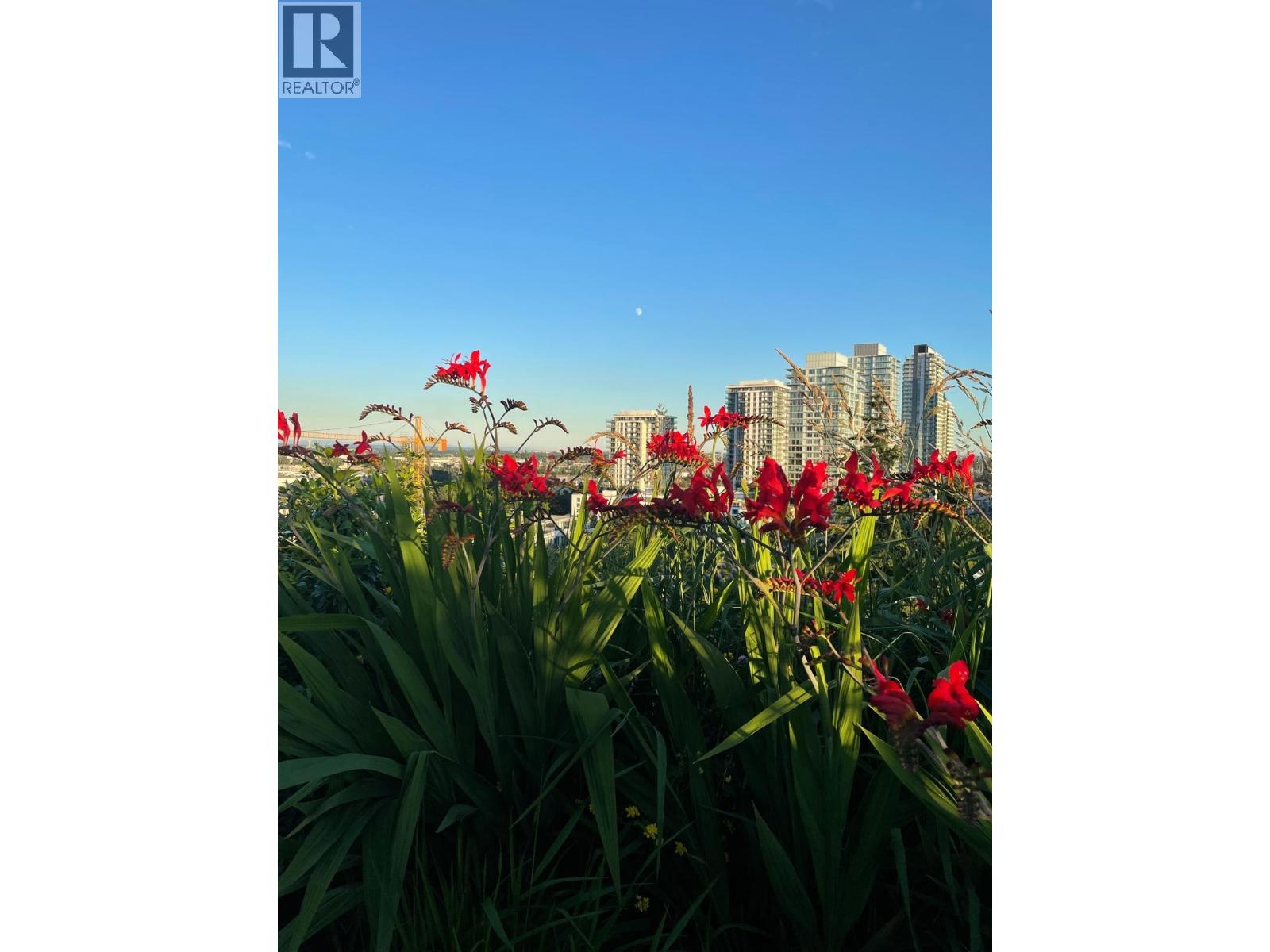 603 7777 Cambie Street, Vancouver, British Columbia  V6P 3H9 - Photo 32 - R3067034