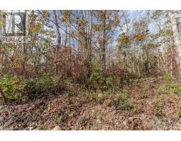 59 Morton Drive, Liverpool, Ca