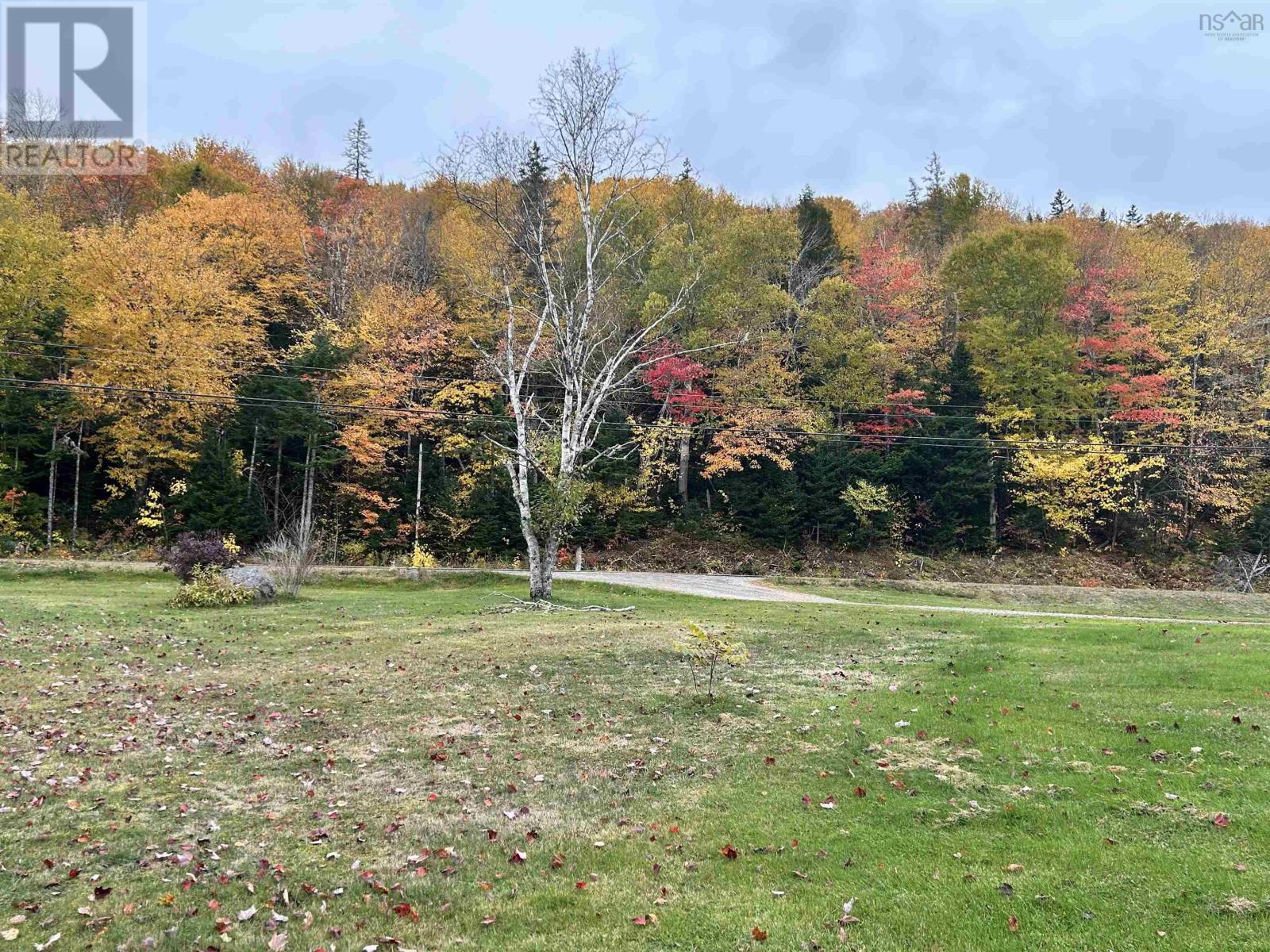 1017 211 Highway, Jordanville, Nova Scotia  B0J 3C0 - Photo 50 - 202528046