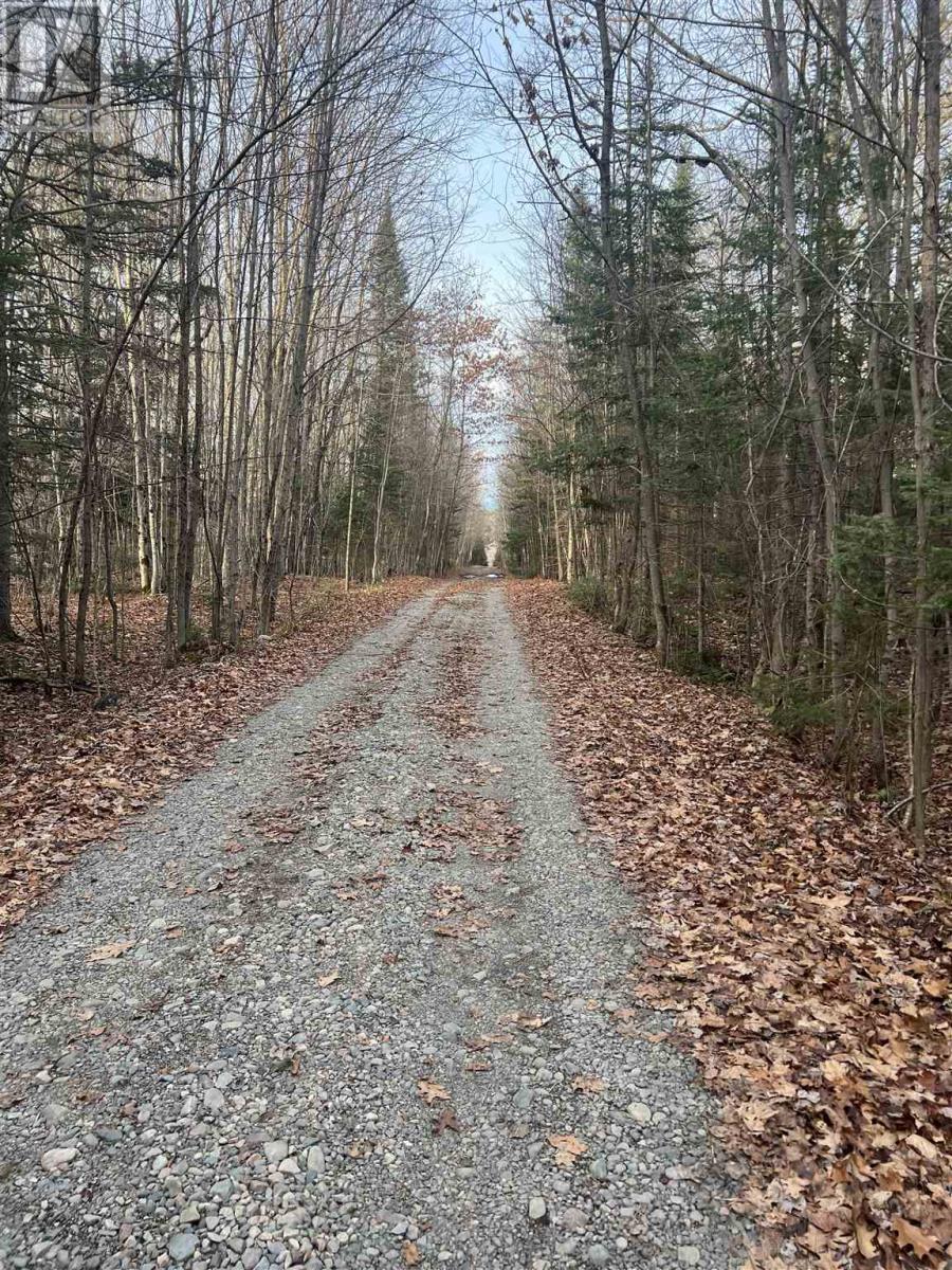 Lt 12 Con 4 Pcl 1451, Iron Bridge, Ontario P0R 1L0 - Photo 28 - SM253240