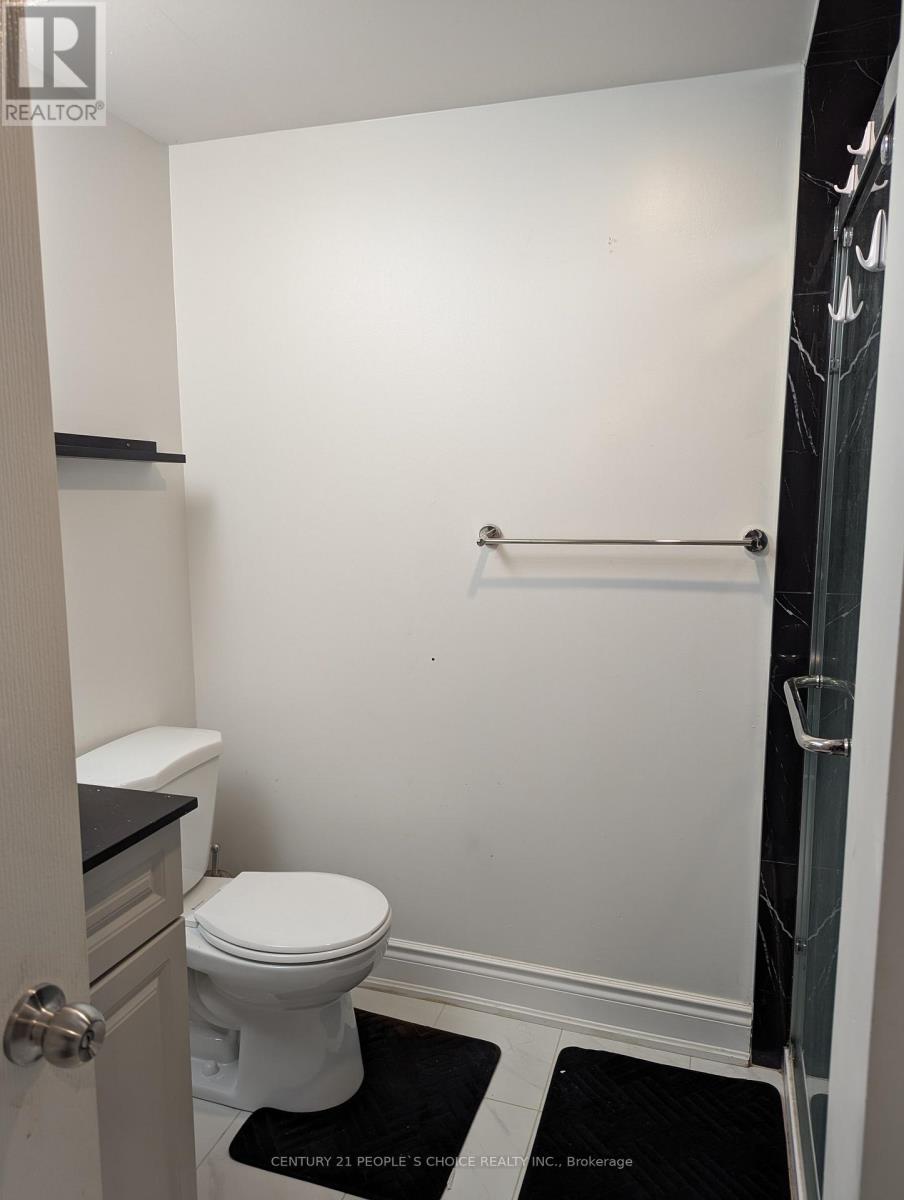 Lower - 447 Rivermont Road, Brampton, Ontario  L6Y 6C2 - Photo 11 - W12549576