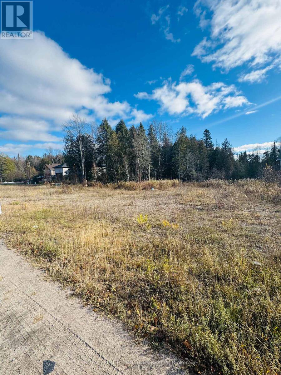 463 Carmichael Drive, North Bay, Ontario  P1B 8G2 - Photo 2 - X12549626