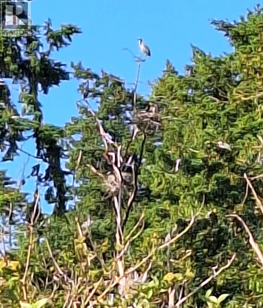 207 1120 Tsatsu Shores Drive, Tsawwassen, British Columbia  V4M 4G3 - Photo 33 - R3035192