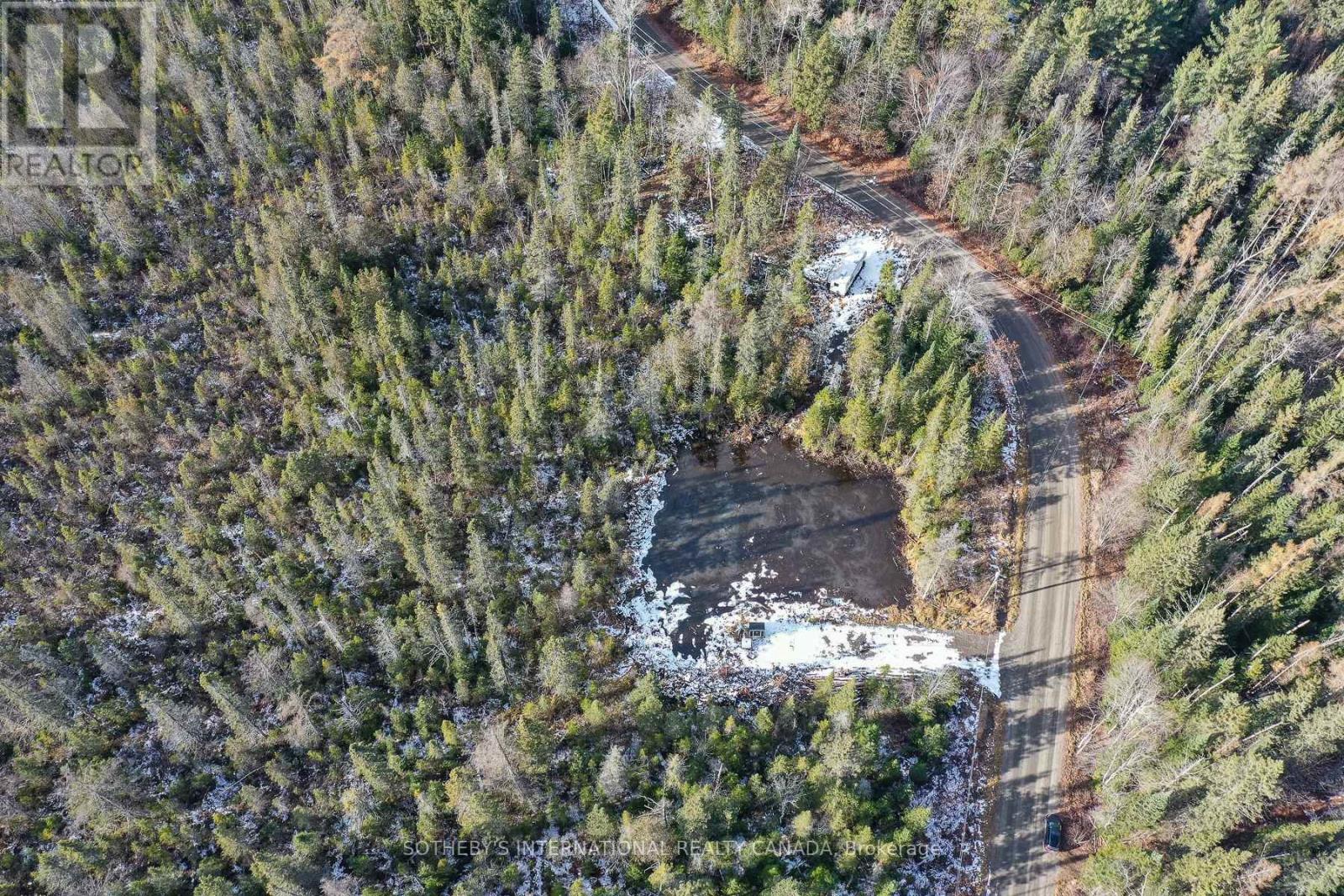 1022 Thompson Road, Bracebridge, Ontario P1L 1X1 - Photo 6 - X12514434