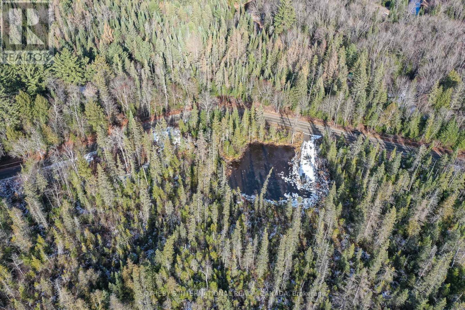 1022 Thompson Road, Bracebridge, Ontario P1L 1X1 - Photo 3 - X12514434