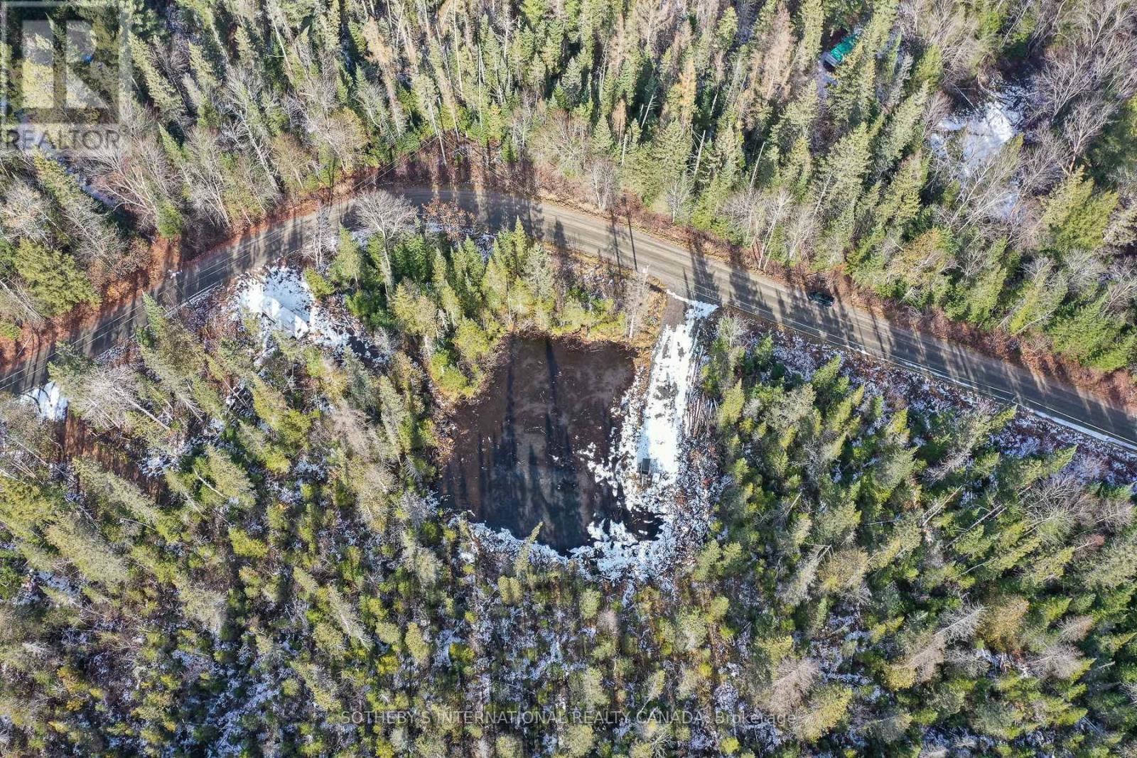 1022 Thompson Road, Bracebridge, Ontario P1L 1X1 - Photo 5 - X12514434