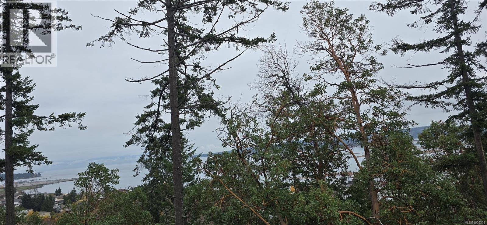 917 Harbour View St, Nanaimo, British Columbia  V9R 4V4 - Photo 43 - 1020305