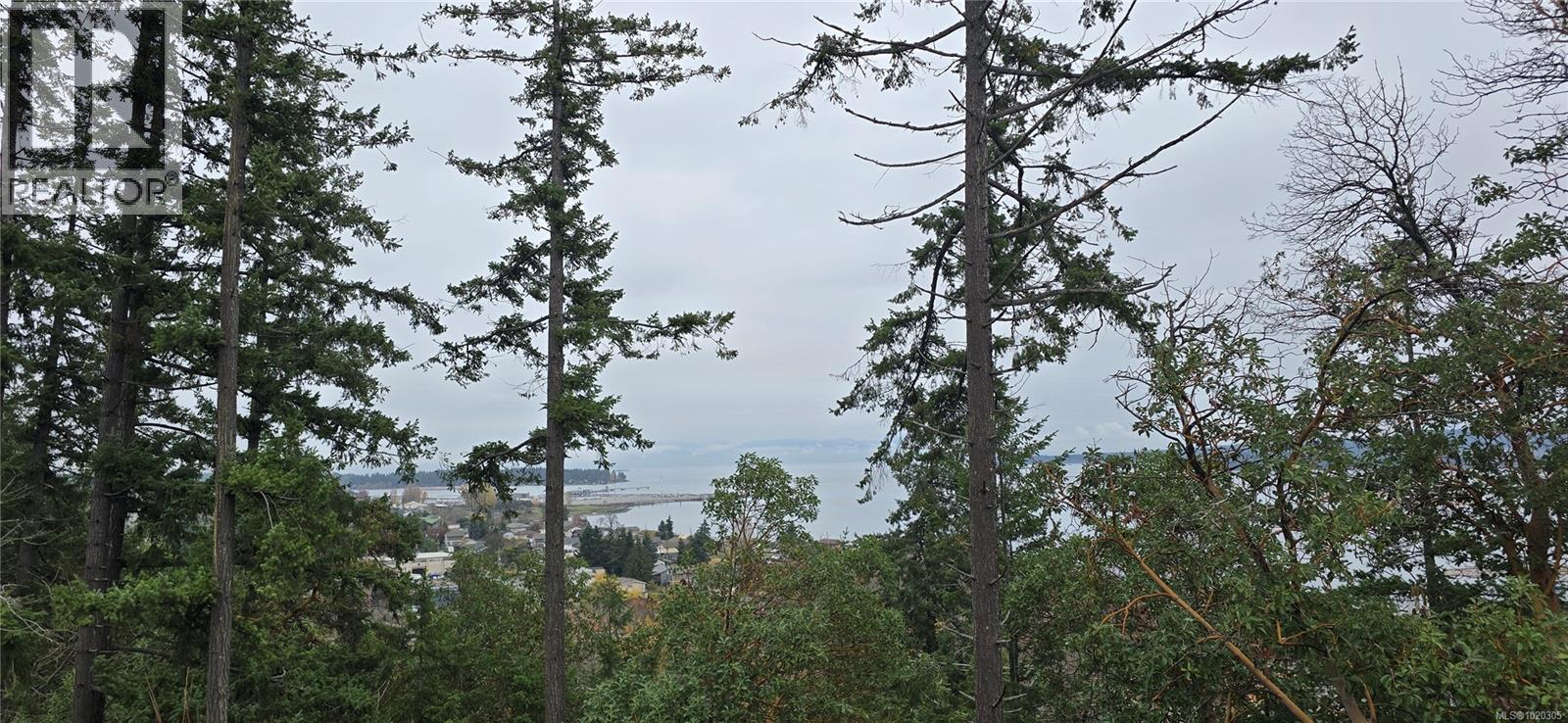 917 Harbour View St, Nanaimo, British Columbia  V9R 4V4 - Photo 42 - 1020305