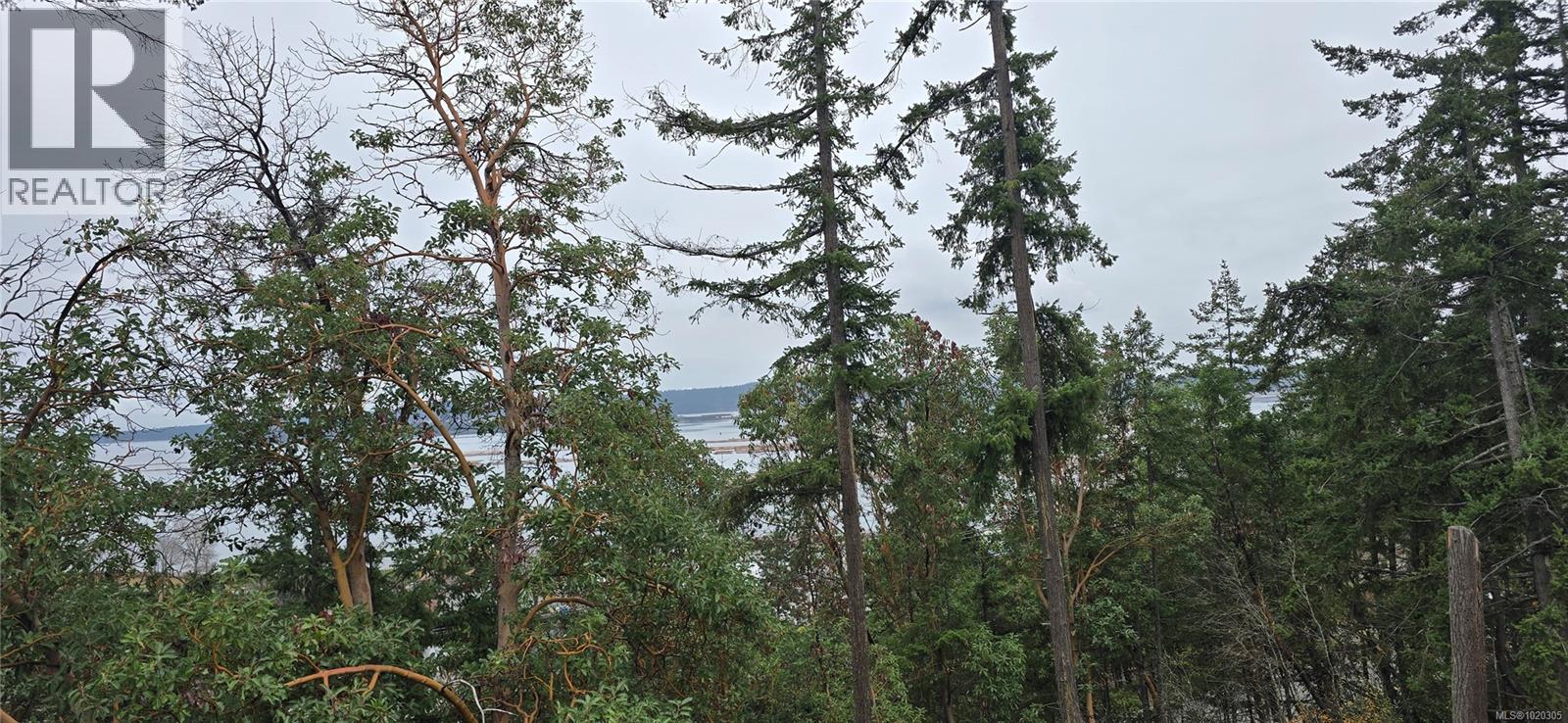 917 Harbour View St, Nanaimo, British Columbia  V9R 4V4 - Photo 44 - 1020305