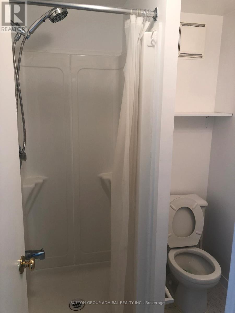 256 Mcconvey Drive, Richmond Hill, Ontario L4C 3K2 - Photo 15 - N12549848