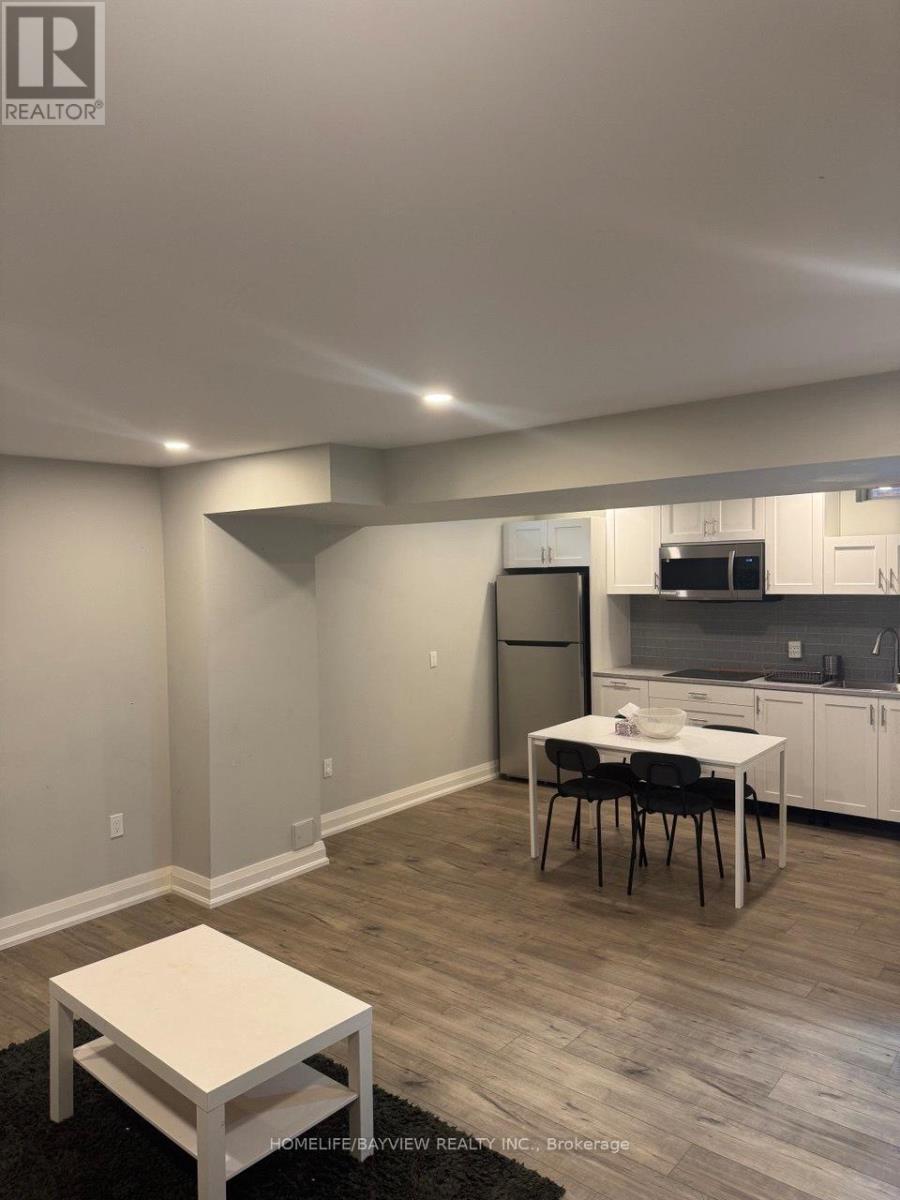 Bsmt - 55 Snowy Meadow Avenue, Richmond Hill, Ontario  L4E 3V4 - Photo 10 - N12549874