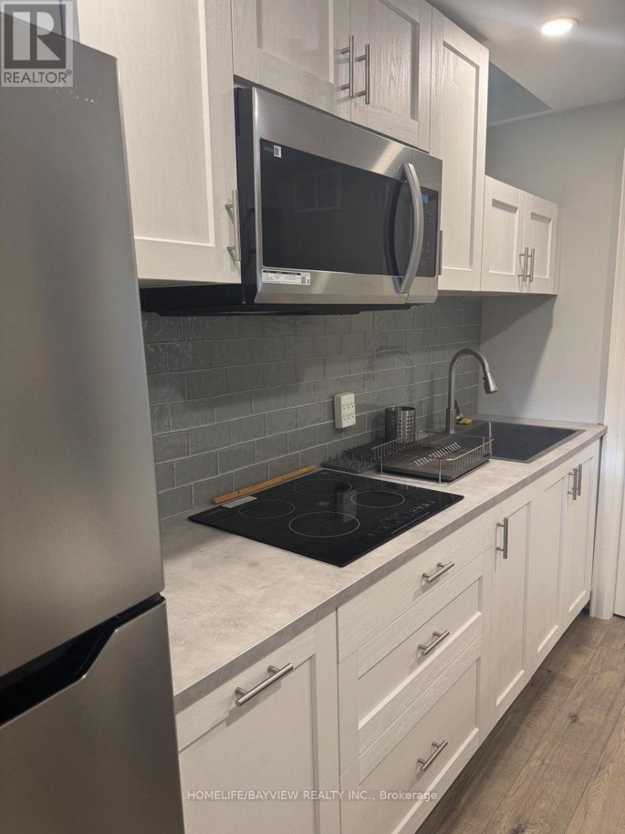 Bsmt - 55 Snowy Meadow Avenue, Richmond Hill, Ontario  L4E 3V4 - Photo 12 - N12549874