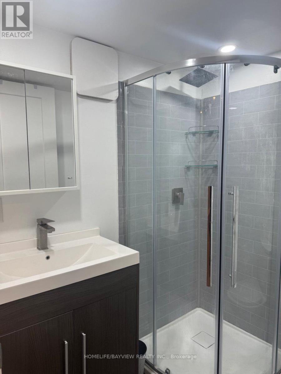 Bsmt - 55 Snowy Meadow Avenue, Richmond Hill, Ontario  L4E 3V4 - Photo 13 - N12549874