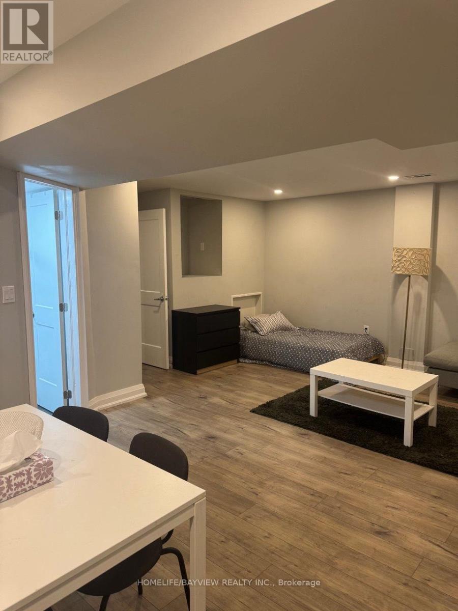 Bsmt - 55 Snowy Meadow Avenue, Richmond Hill, Ontario  L4E 3V4 - Photo 14 - N12549874