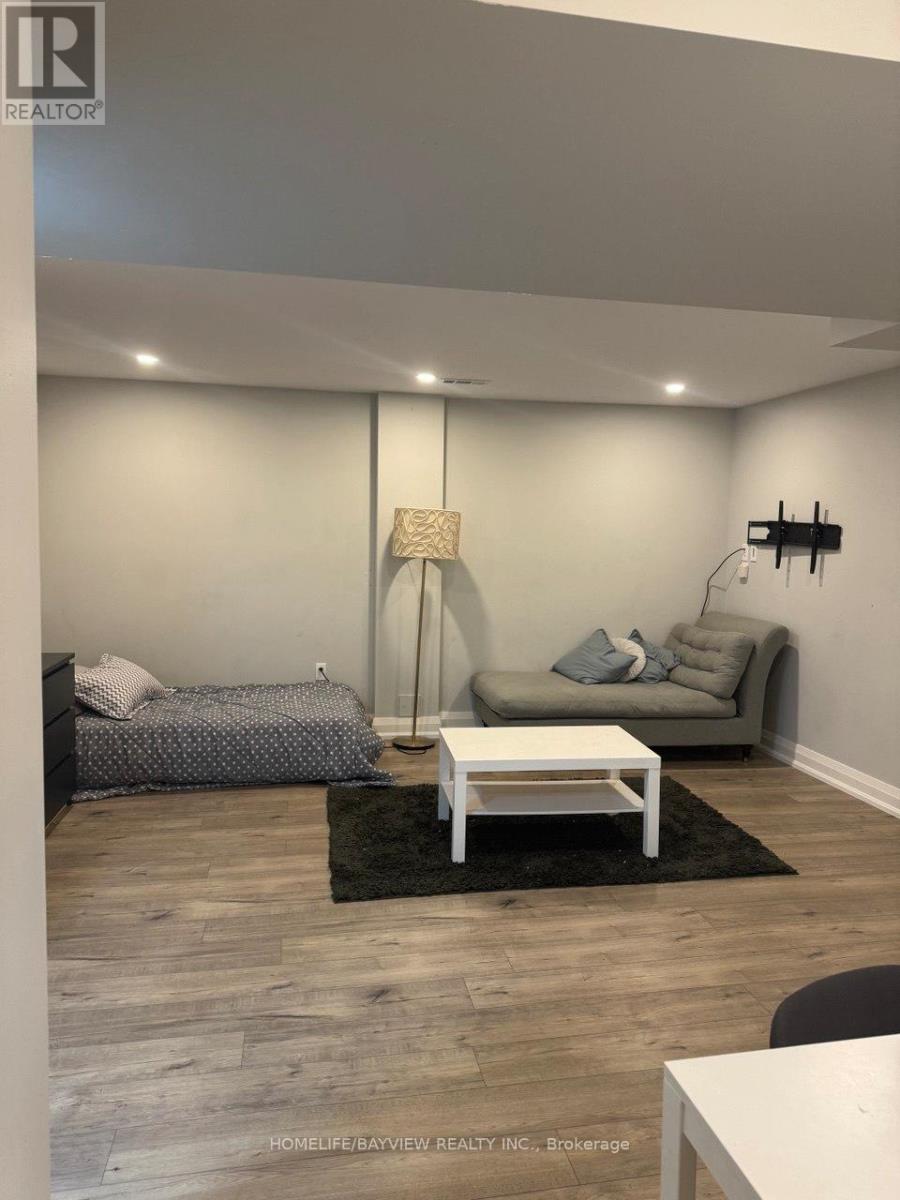 Bsmt - 55 Snowy Meadow Avenue, Richmond Hill, Ontario  L4E 3V4 - Photo 15 - N12549874