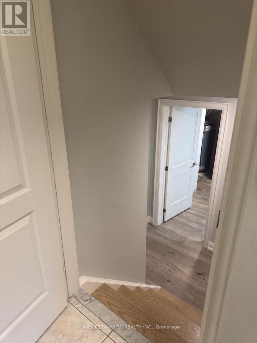 Bsmt - 55 Snowy Meadow Avenue, Richmond Hill, Ontario  L4E 3V4 - Photo 2 - N12549874