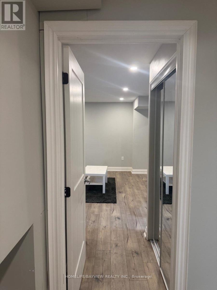 Bsmt - 55 Snowy Meadow Avenue, Richmond Hill, Ontario  L4E 3V4 - Photo 4 - N12549874