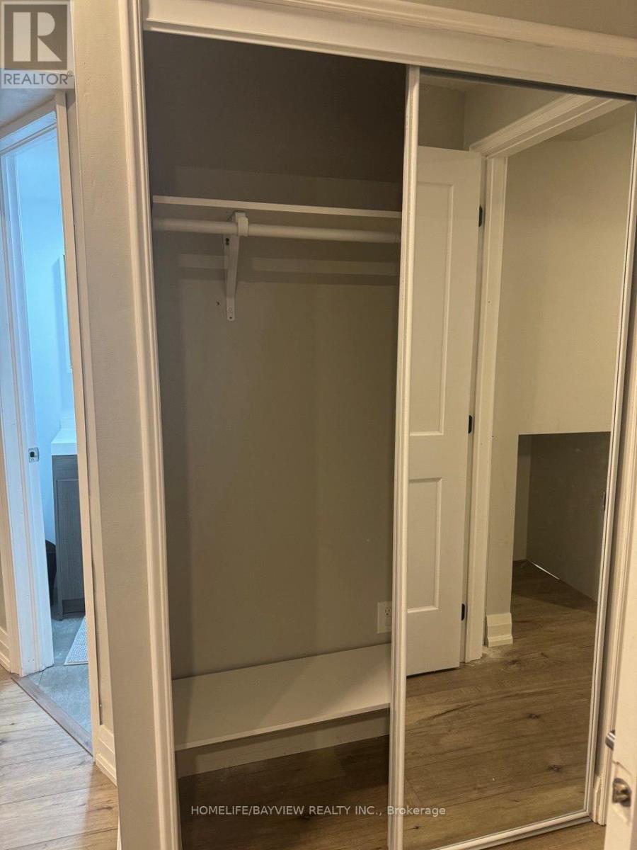 Bsmt - 55 Snowy Meadow Avenue, Richmond Hill, Ontario  L4E 3V4 - Photo 6 - N12549874