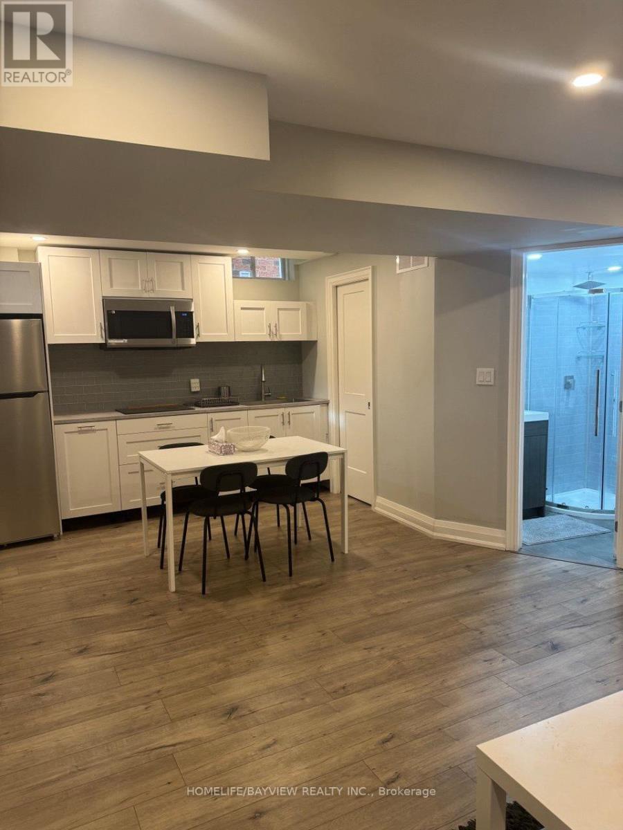 Bsmt - 55 Snowy Meadow Avenue, Richmond Hill, Ontario  L4E 3V4 - Photo 9 - N12549874