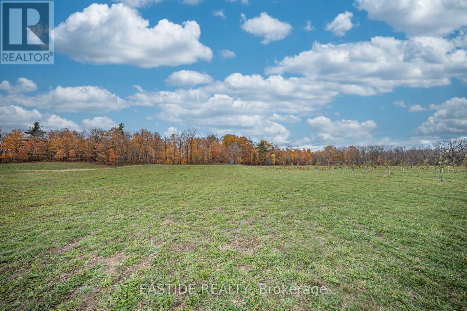 5255 Philp Road, Lincoln, Ontario L3J 2E8 - Photo 3 - X12549882