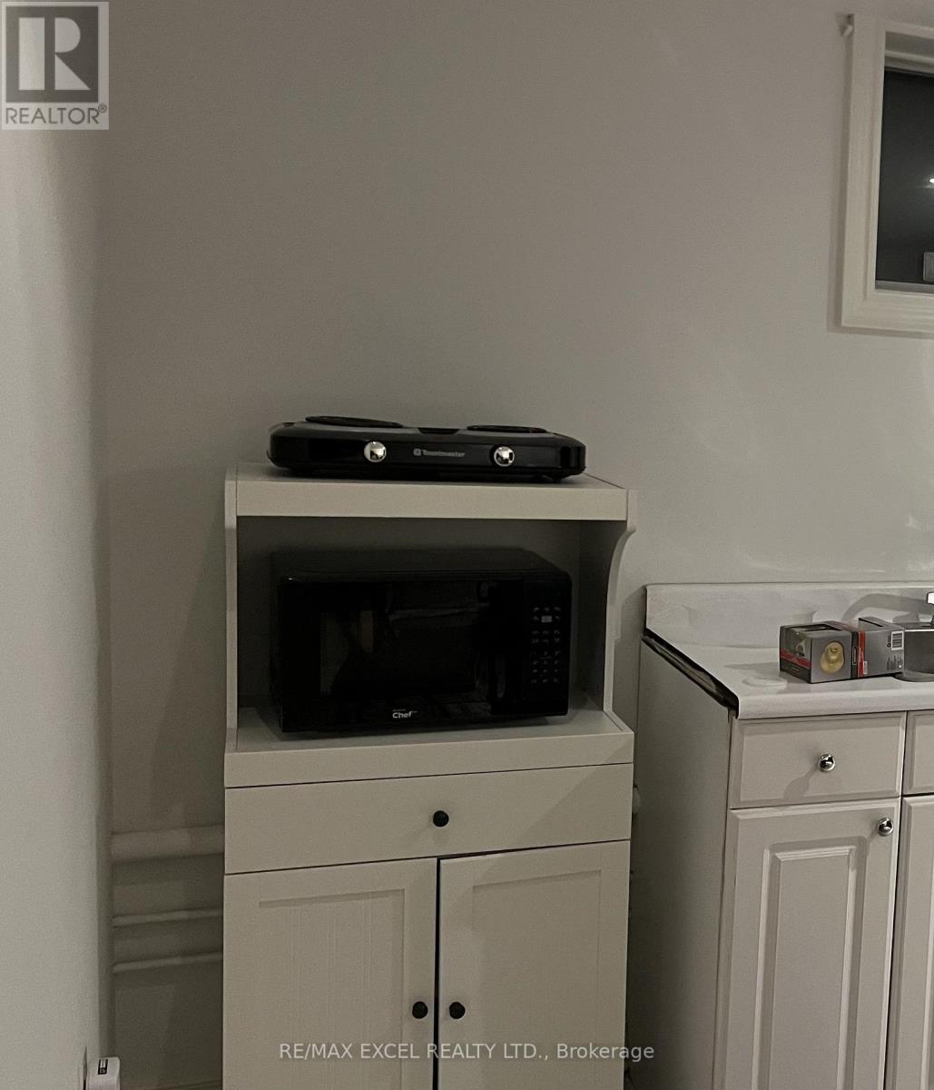 Bachlor-Basement - 387 Crosby Avenue, Richmond Hill, Ontario L4C 2R8 - Photo 10 - N12531472