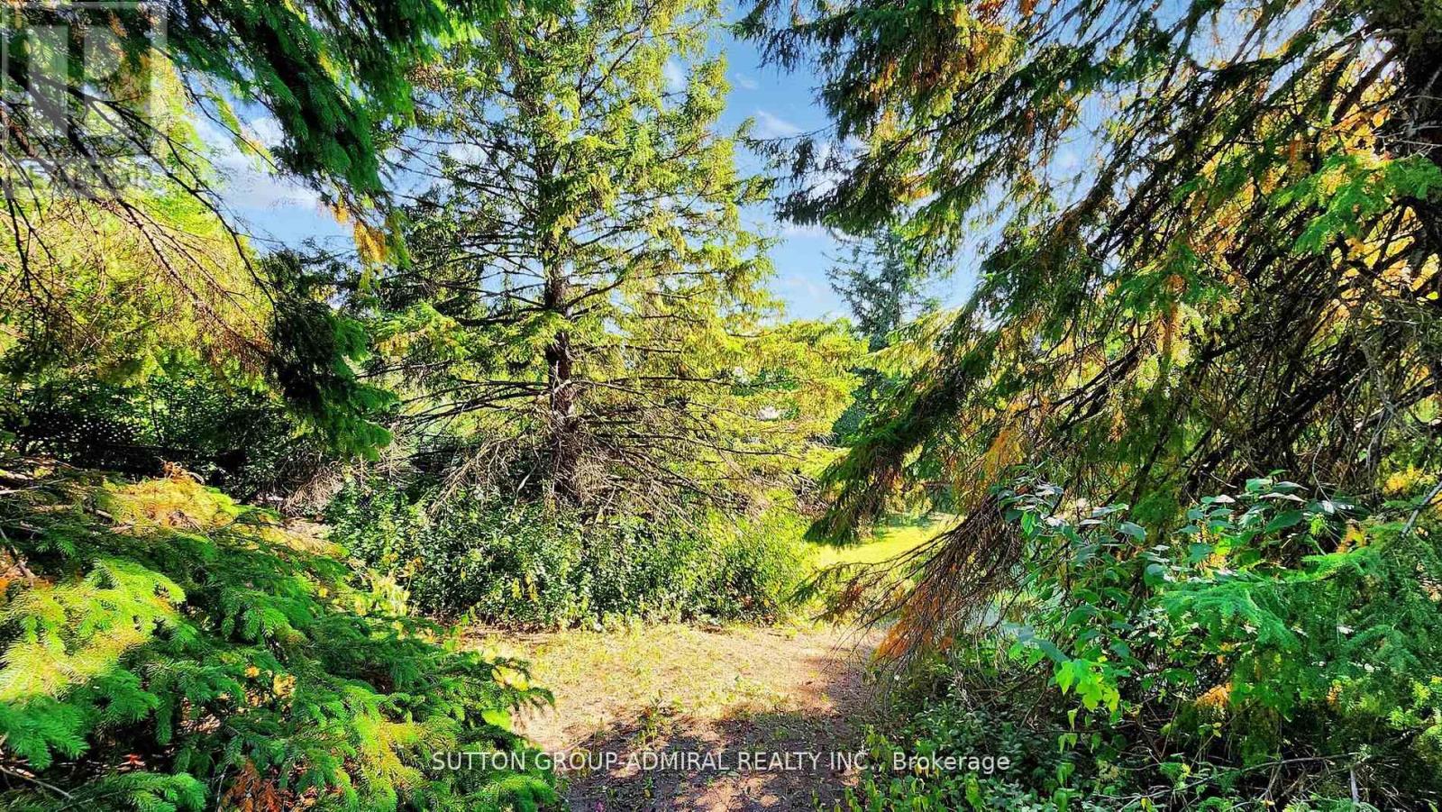 62 Shieldmark Crescent, Markham, Ontario  L3T 3T5 - Photo 23 - N12549944