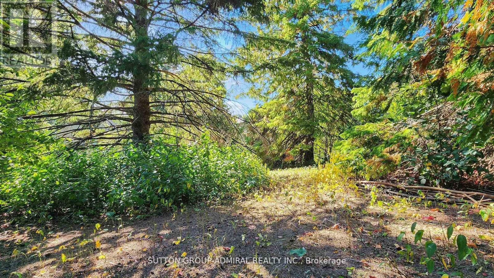 62 Shieldmark Crescent, Markham, Ontario  L3T 3T5 - Photo 47 - N12549944