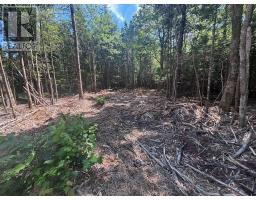 11a Nicholas Drive, Hammonds Plains, Ca