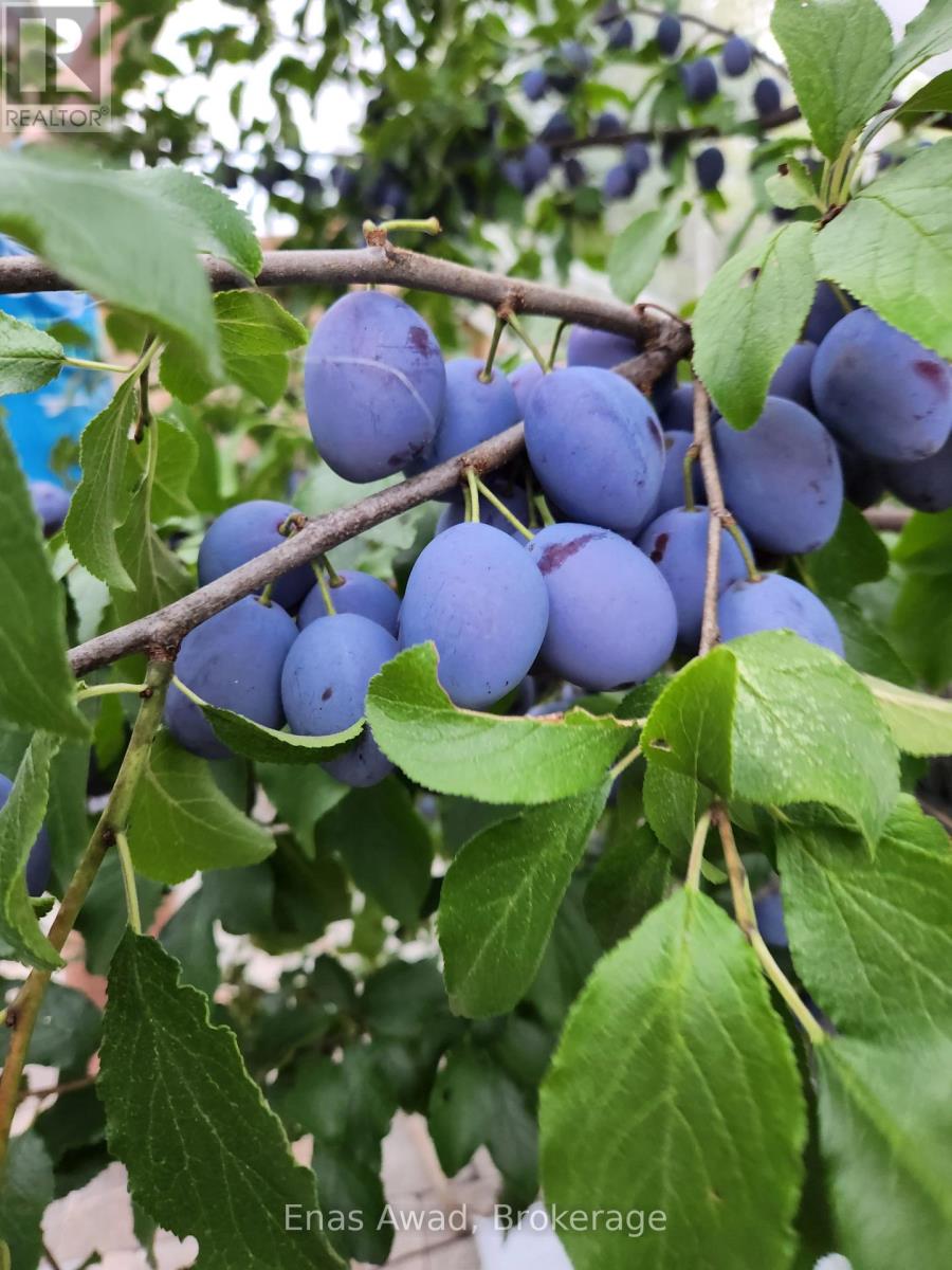 121 Allegra Drive, Wasaga Beach, Ontario  L9Z 0H5 - Photo 28 - S12550022