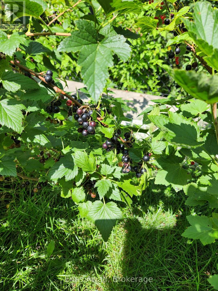 121 Allegra Drive, Wasaga Beach, Ontario  L9Z 0H5 - Photo 29 - S12550022