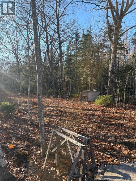 670 Back Road, Scotchtown, New Brunswick  E4B 1Y3 - Photo 2 - NB130161