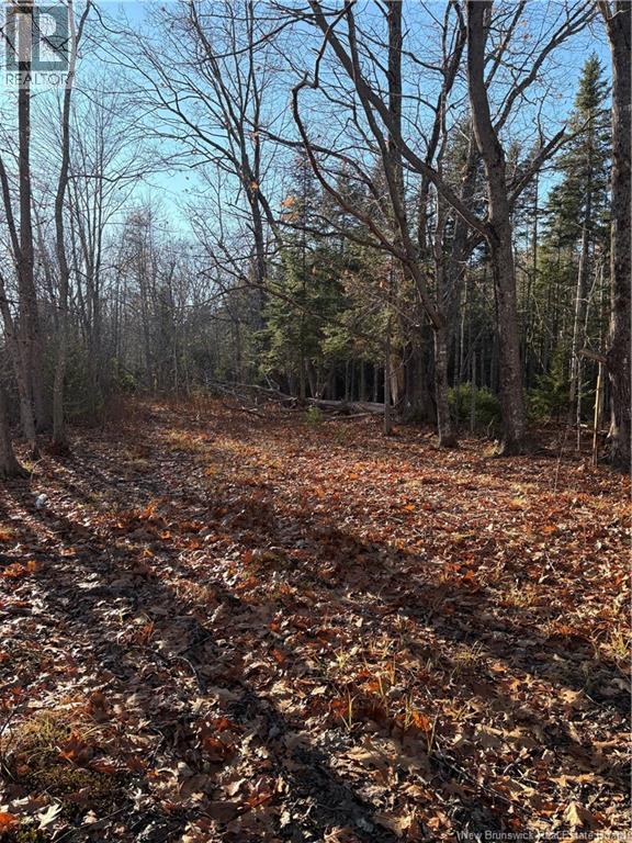 670 Back Road, Scotchtown, New Brunswick  E4B 1Y3 - Photo 4 - NB130161