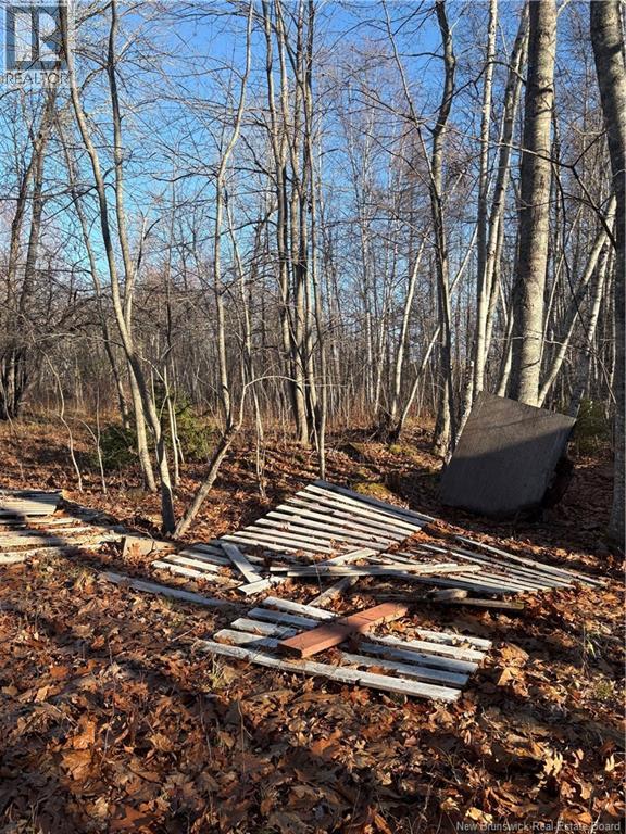 670 Back Road, Scotchtown, New Brunswick  E4B 1Y3 - Photo 6 - NB130161