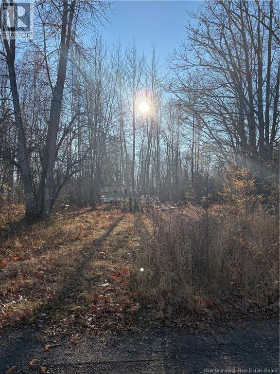 670 Back Road, Scotchtown, New Brunswick  E4B 1Y3 - Photo 9 - NB130161