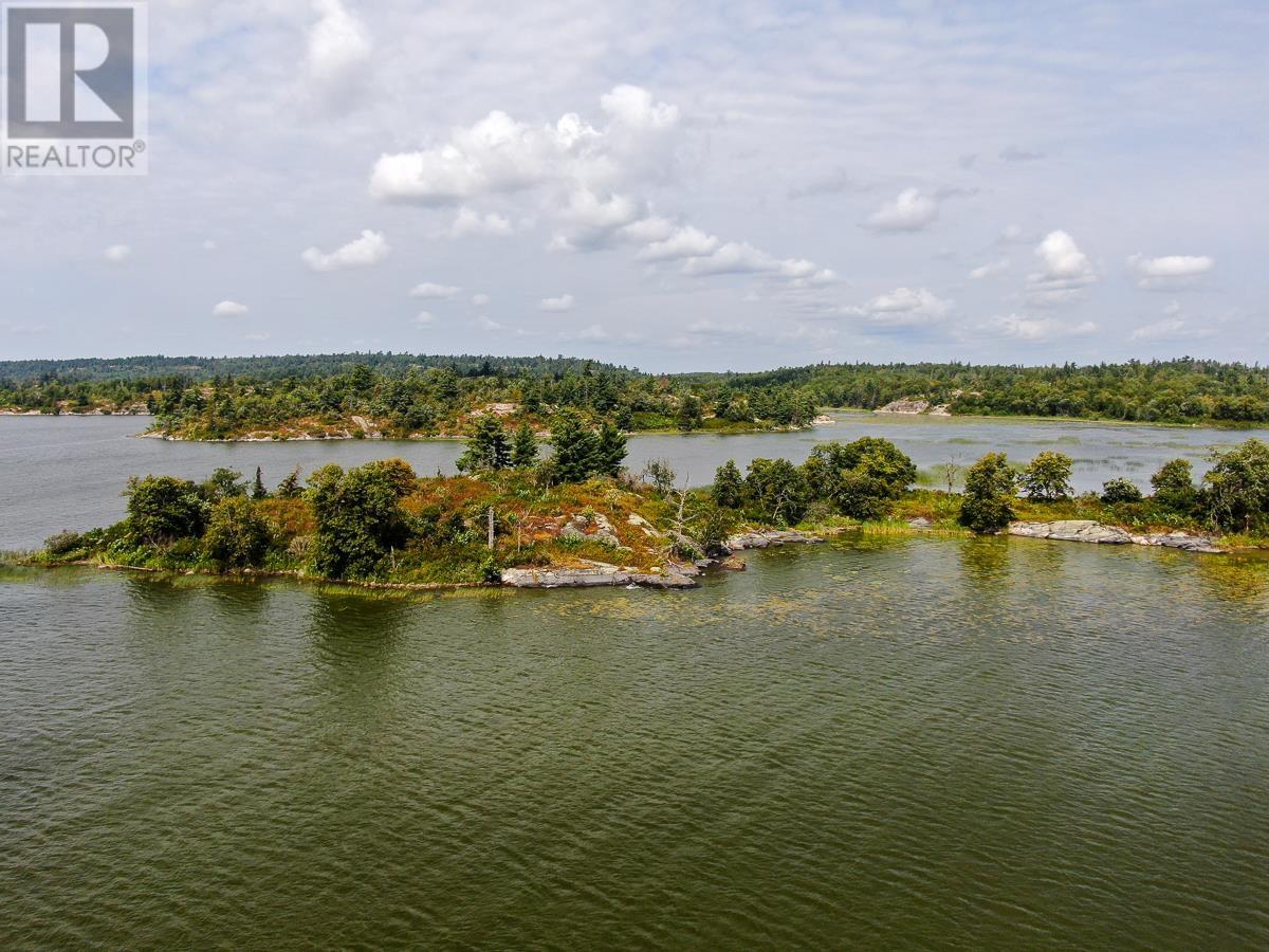 Sabaskong Bay Island G2217, Morson, Ontario P0W 1J0 - Photo 10 - TB250843