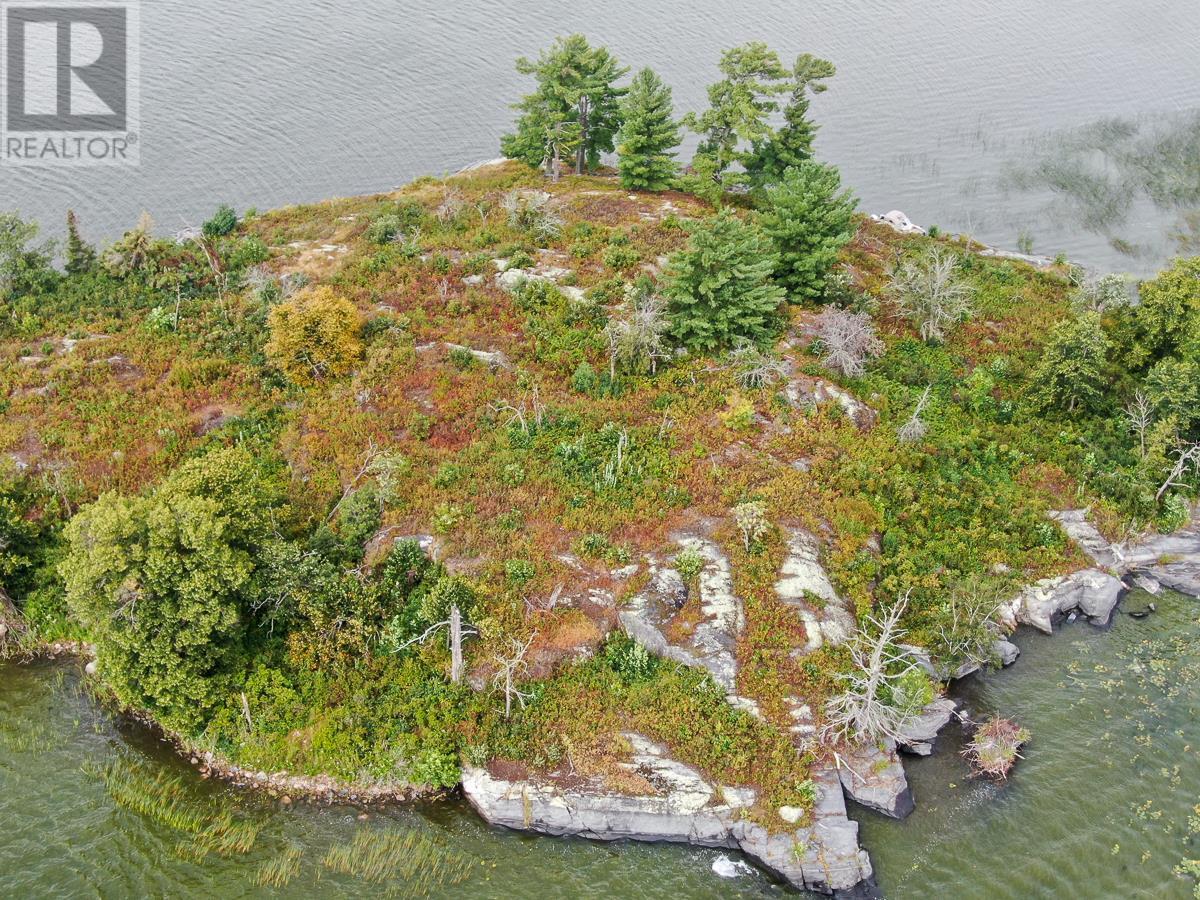 Sabaskong Bay Island G2217, Morson, Ontario P0W 1J0 - Photo 20 - TB250843