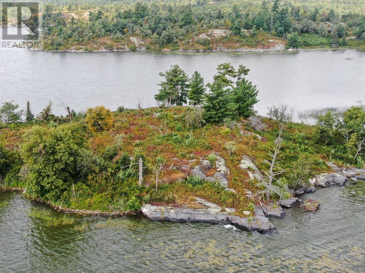 Sabaskong Bay Island G2217, Morson, Ontario P0W 1J0 - Photo 11 - TB250843